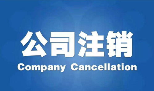 江蘇代理注冊(cè)公司信譽(yù)優(yōu)良，專注廣告設(shè)計(jì)服務(wù)
